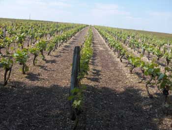 loire (236).jpg